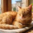 В выходные в ВКО, в том числе в Усть-Каменогорске, ожидается жара