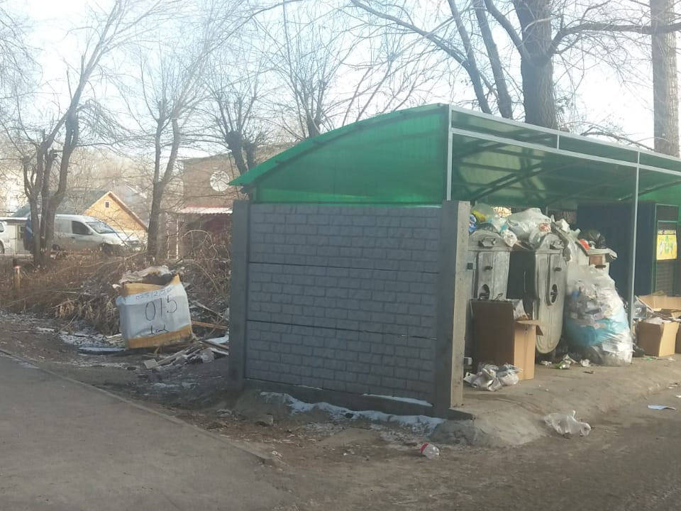 Очевидец: в Усть-Каменогорске из-за несвоевременного вывоза мусора разводятся крысы