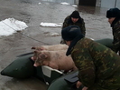 В Восточном Казахстане затопило одно из сёл