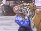 И тигры у ног моих сели... (+фото)