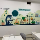 Казахстан обновляет школьные пространства: 530 школ перейдут на единый дизайн