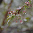 В Казахстане ожидаются морозы до минус 18°С