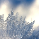 ВКО. В районе Алтай столбики термометров опустились до минус 30