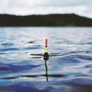 Вблизи Риддера появится платный водоём для рыбалки