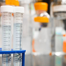 Жёлтый снег выпал в Усть-Каменогорске: экологи проводят анализ на тяжелые металлы 