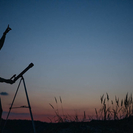 В апреле внимание астрономов будет приковано к комете