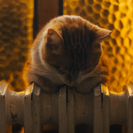 22 апреля в Усть-Каменогорске завершается отопительный сезон: как его продлить? 