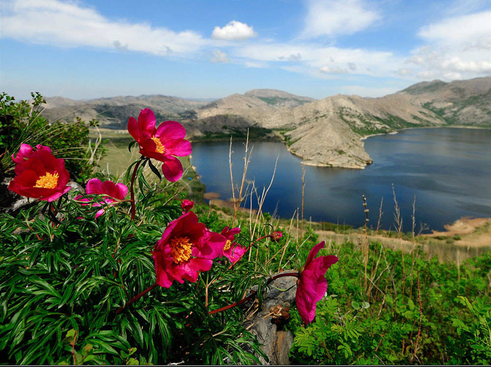 Природа восточно казахстанской области фото